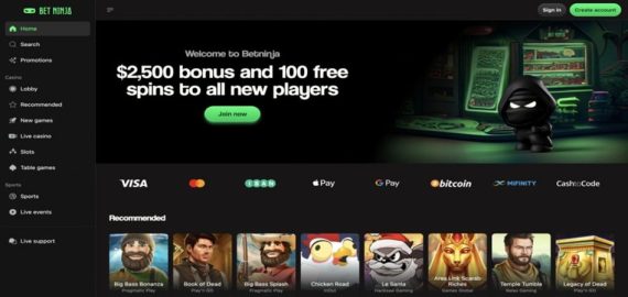 premier Betninja Casino crypto casino image